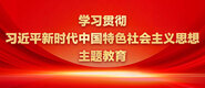 喜欢大鸡巴插穴好舒服视频学习贯彻习近平新时代中国特色社会主义思想主题教育_fororder_ad-371X160(2)